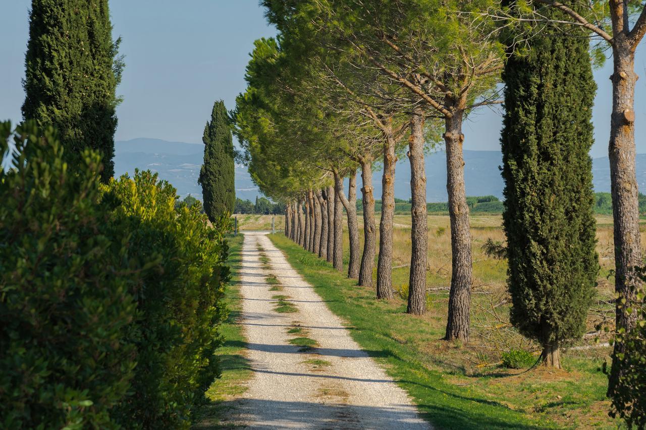 Agriturismo Bandinelli 布拉卡尼 外观 照片