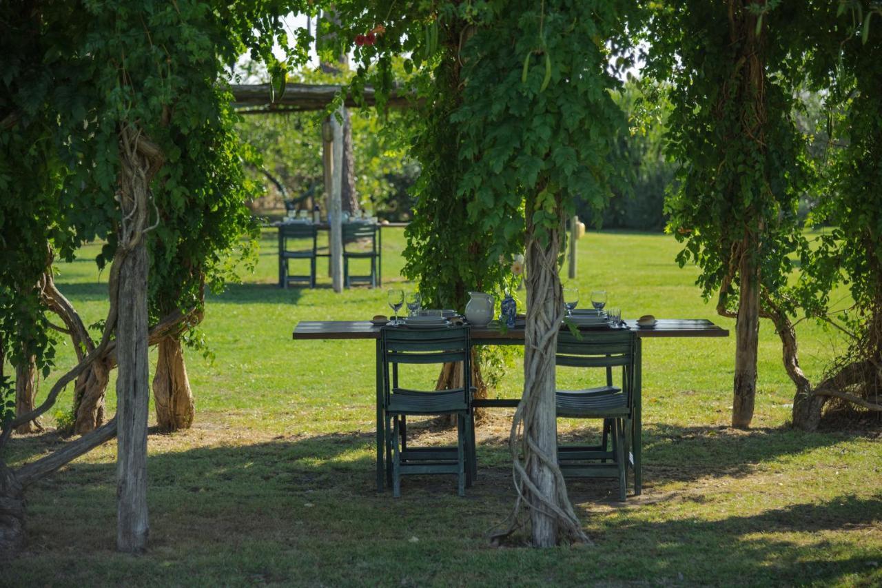 Agriturismo Bandinelli 布拉卡尼 外观 照片