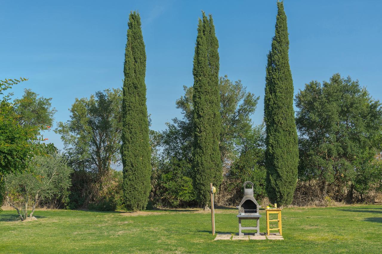 Agriturismo Bandinelli 布拉卡尼 外观 照片