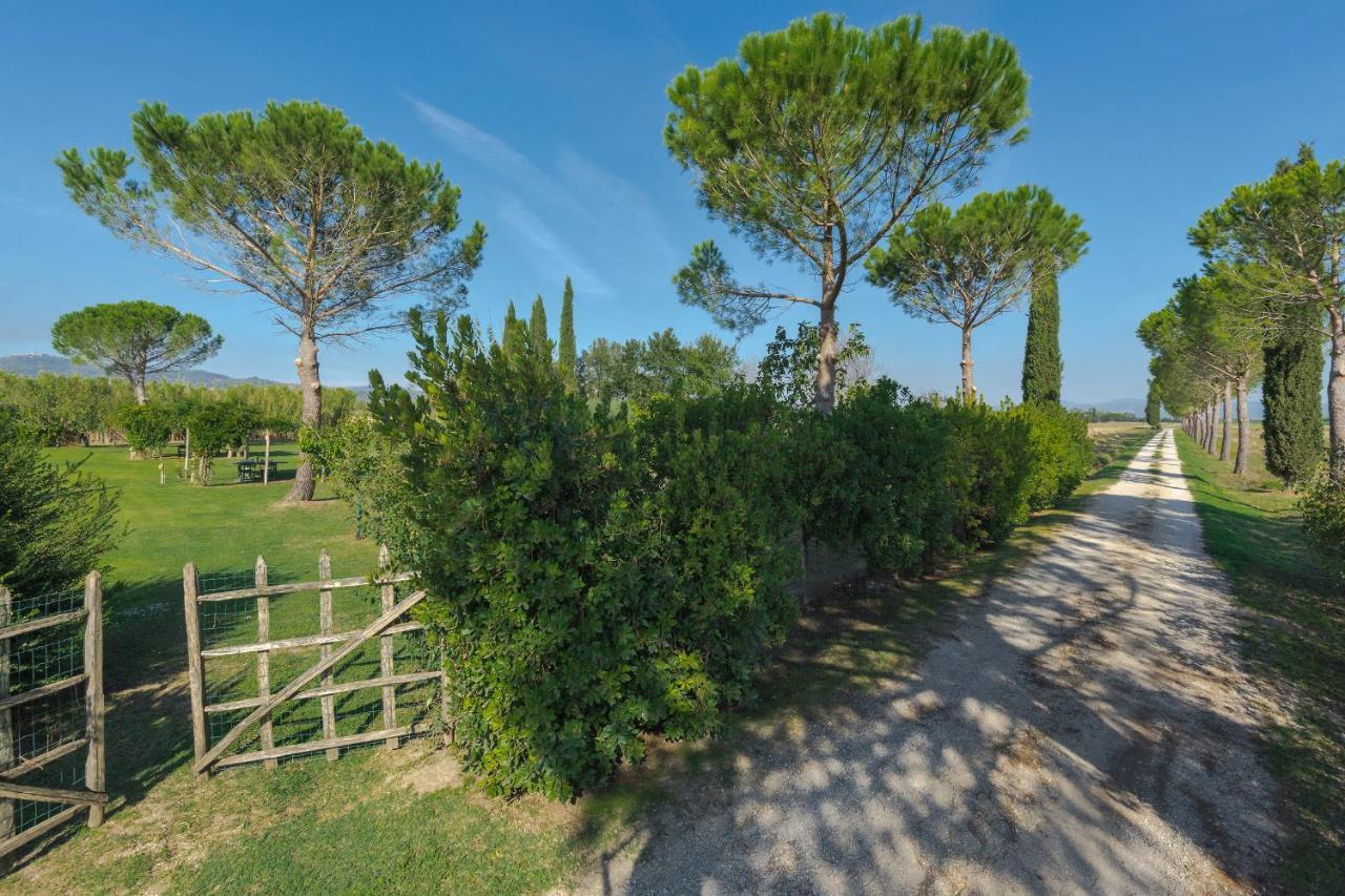 Agriturismo Bandinelli 布拉卡尼 外观 照片